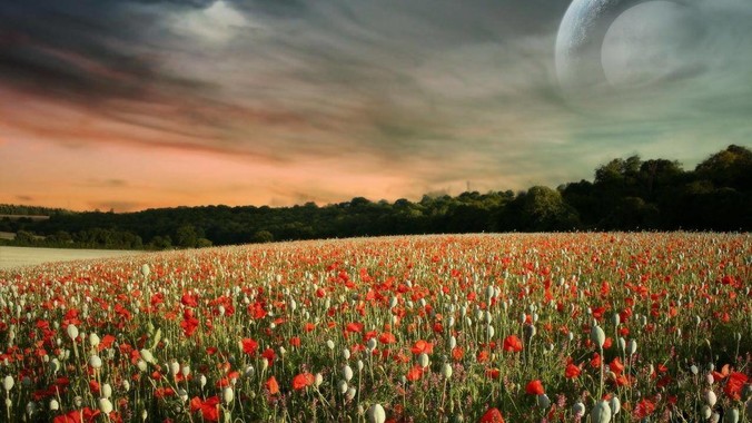 为什么有些男人眼里看不见家务？